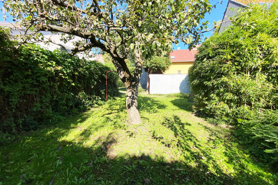 Zala / Balaton Süd, 5 Bedrooms Bedrooms, 7 Rooms Rooms,2 BathroomsBathrooms,Einfamilienhäuser,Verkauf,1199