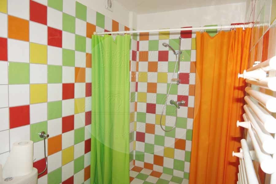 Zala / Westbalaton, 5 Bedrooms Bedrooms, 6 Rooms Rooms,3 BathroomsBathrooms,Villen,Verkauf,1238