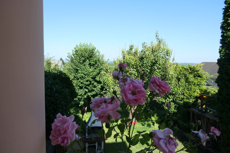 Zala / Westbalaton, 4 Bedrooms Bedrooms, 5 Rooms Rooms,2 BathroomsBathrooms,Einfamilienhäuser,Verkauf,1293