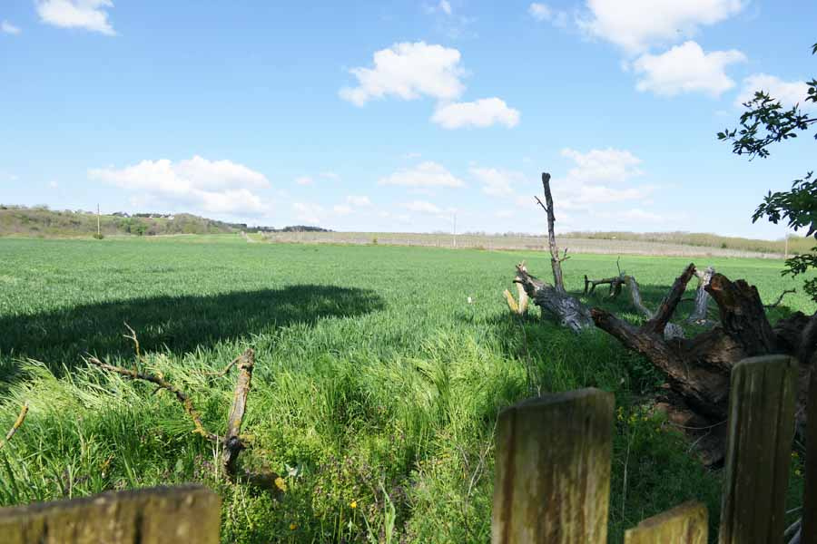 Zala / Westbalaton, 2 Bedrooms Bedrooms, 3.5 Rooms Rooms,1 BathroomBathrooms,Einfamilienhäuser,Verkauf,1316